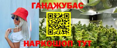 крисы Нягань