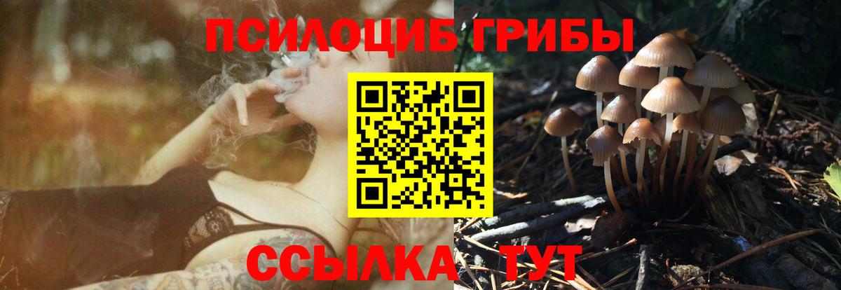 Псилоцибиновые грибы прущие грибы Ухта